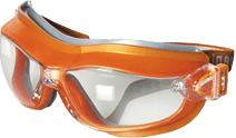 Phoenix 10490